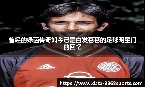 曾经的绿茵传奇如今已是白发苍苍的足球明星们的回忆